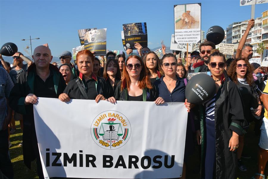 İzmir Barosu Sokakta Yaşayan Hayvanlar İçin Alandaydı!