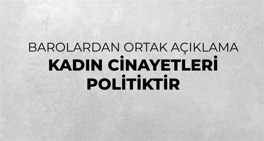 Kadın Cinayetleri Politiktir