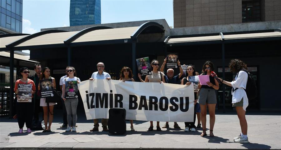 Sokak Hayvanları Sahipsiz Degildir!