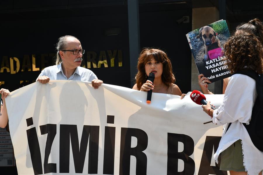 Sokak Hayvanları Sahipsiz Degildir!