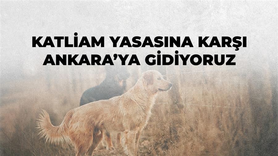 Katliam Yasasına Karşı Ankara’ya Gidiyoruz!