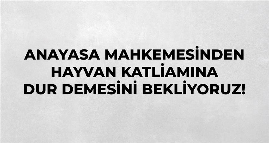 Anayasa Mahkemesinden Hayvan Katliamına Dur Demesini Bekliyoruz!