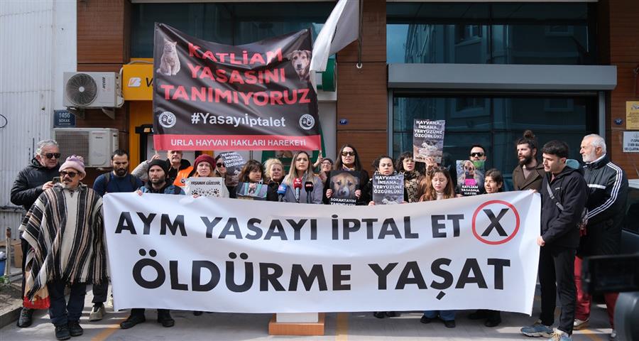 İzmir Barosundan Hayvan Katliamına Karşı Sert Tepki