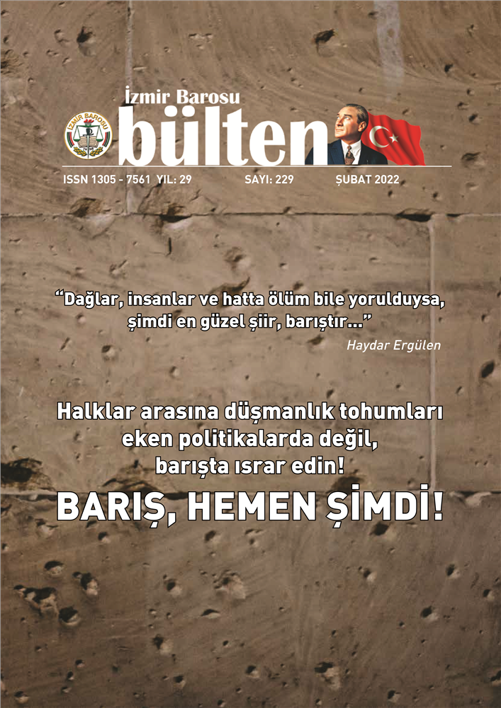 Sayı 229
