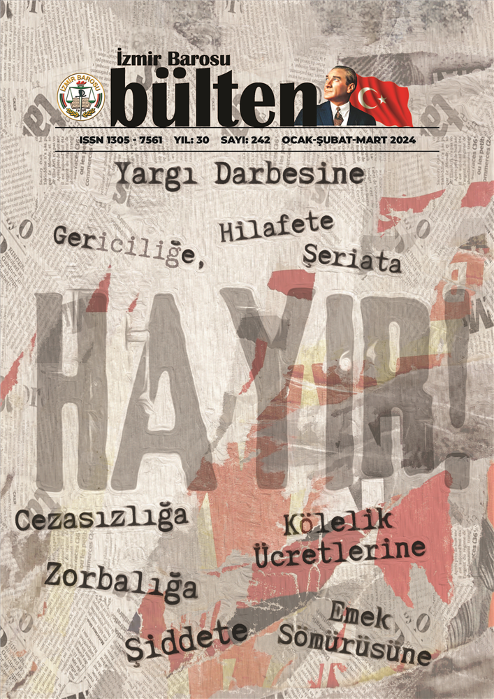 Sayı 242