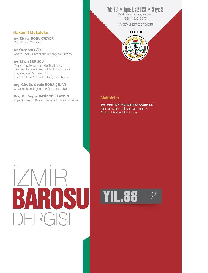 Sayı 2023-2